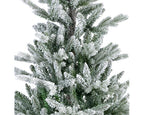 Allison Pine Snowy 5ft Christmas Tree