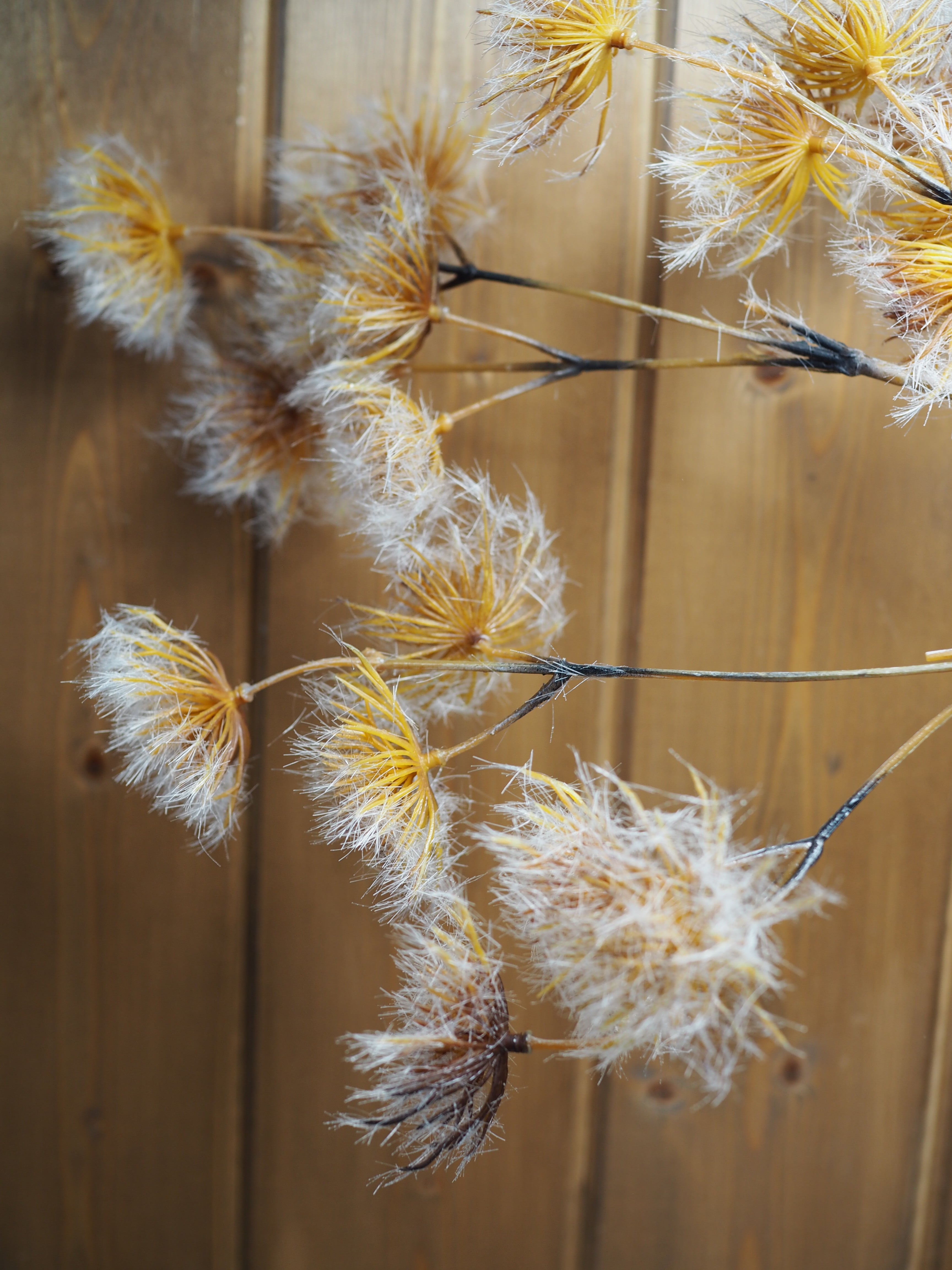 Tall Winter allium stem with flocked finish