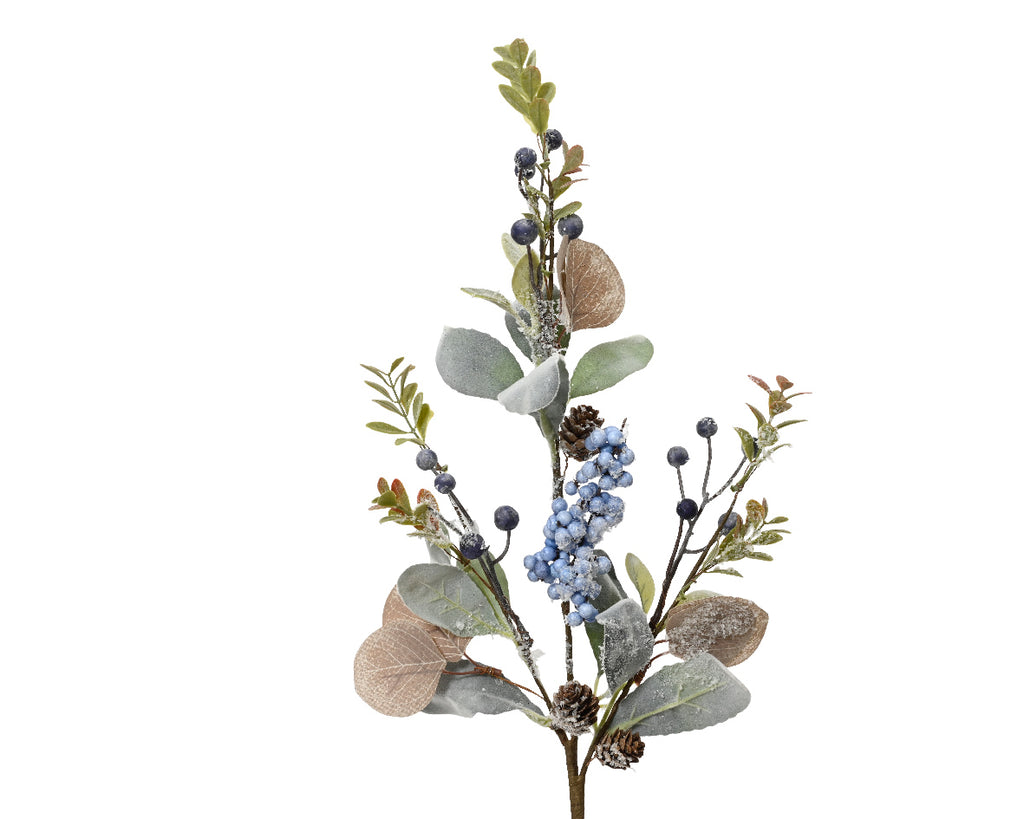 Blue snowberry, eucalyptus and pinecone stem