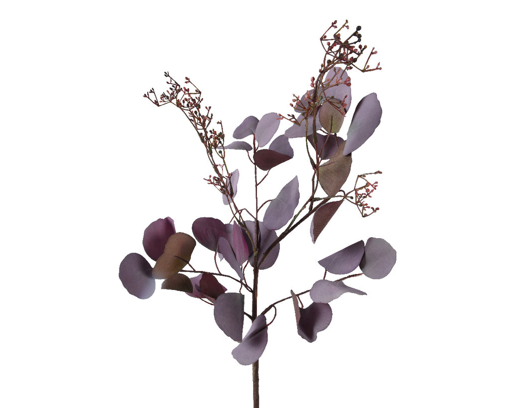 Purple eucalyptus spray