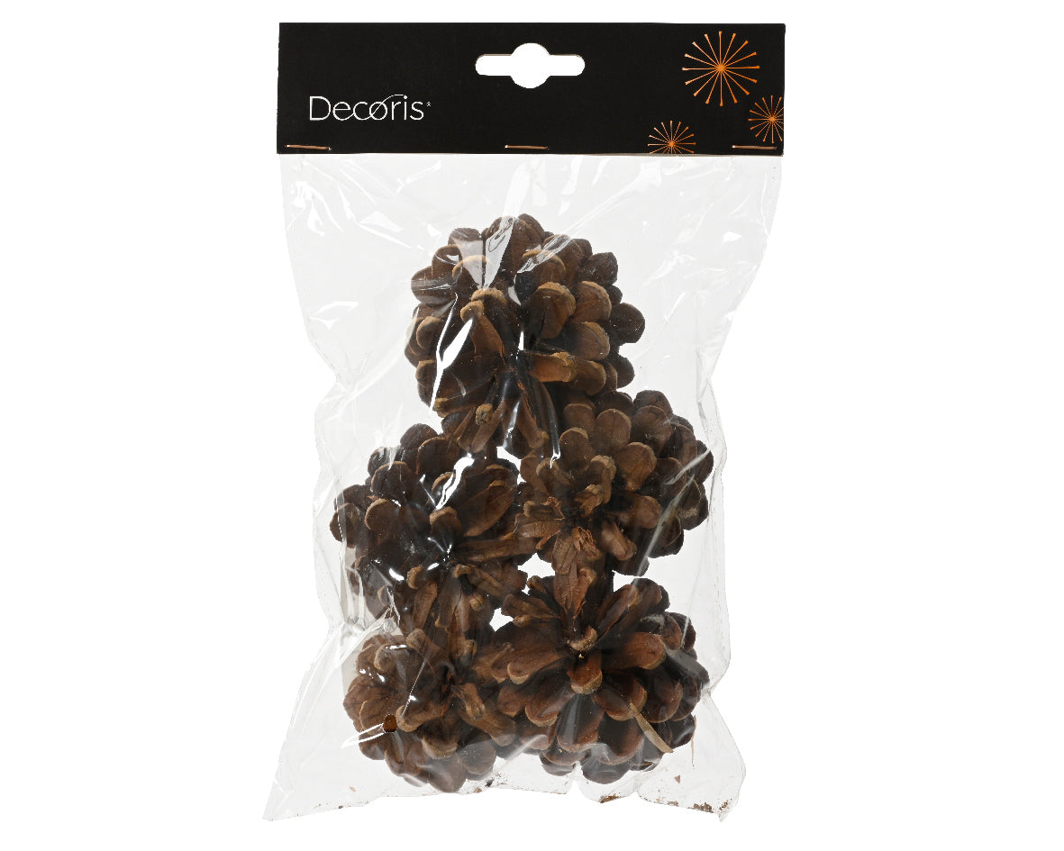 Natural look pinecone set