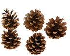Natural look pinecone set