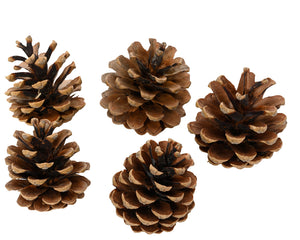 Natural look pinecone set