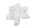 White Christmas sparkle poinsettia