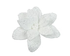 White Christmas sparkle poinsettia