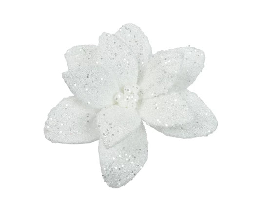 White Christmas sparkle poinsettia