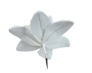 White Christmas sparkle poinsettia