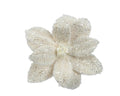 Cream Christmas Sparkle Poinsettia