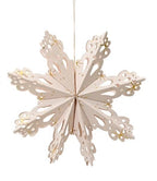 Paper snowflke with gold detail