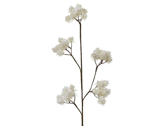 Queen Anne's lace floral white spray