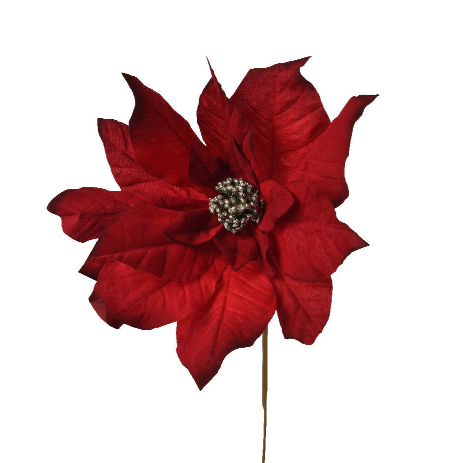 Oxblood Poinsettia Velvet Stem