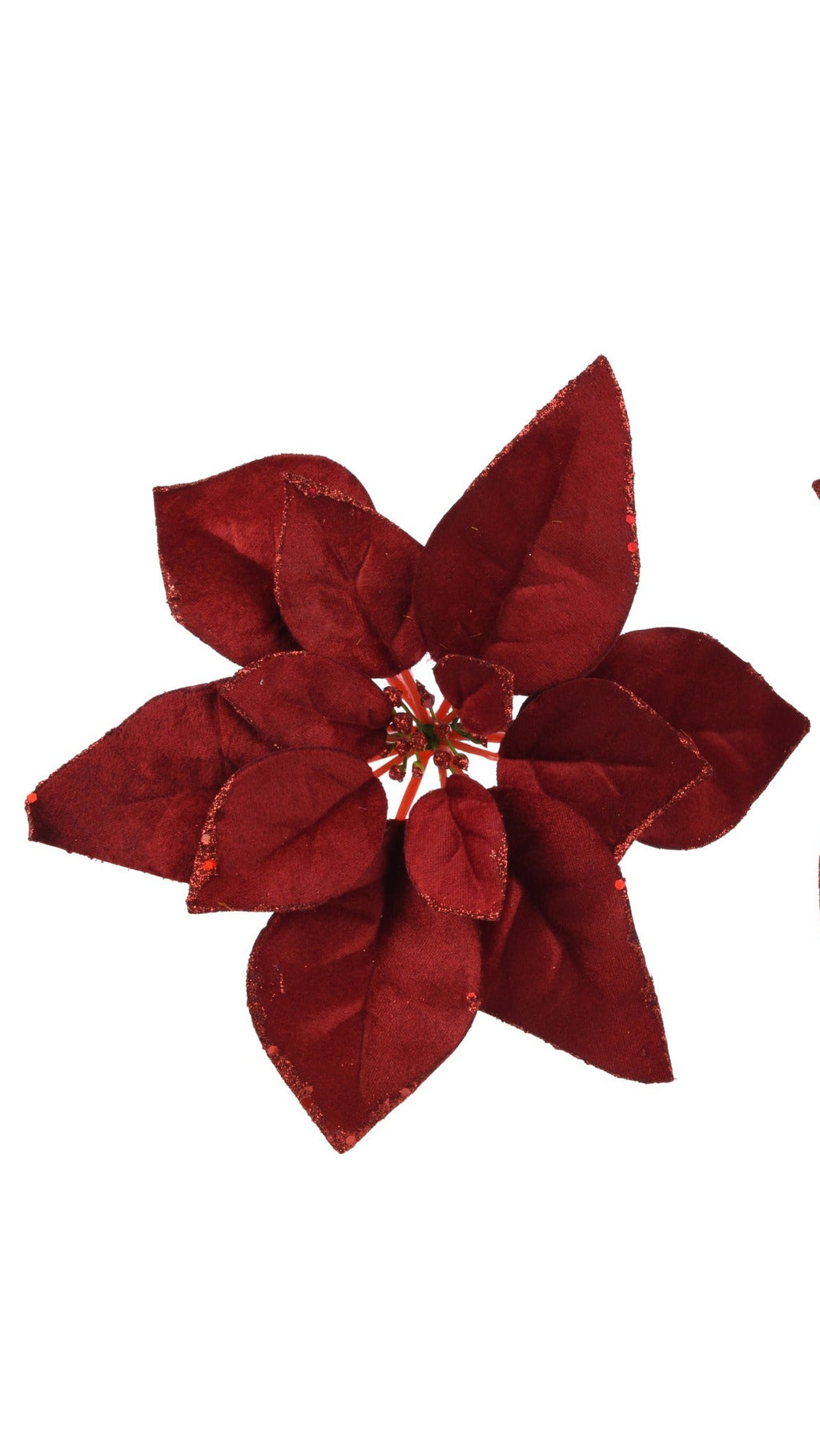 Velvet clip on poinsettia with glitter edging