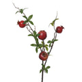 Red pomegranate spray with leaves