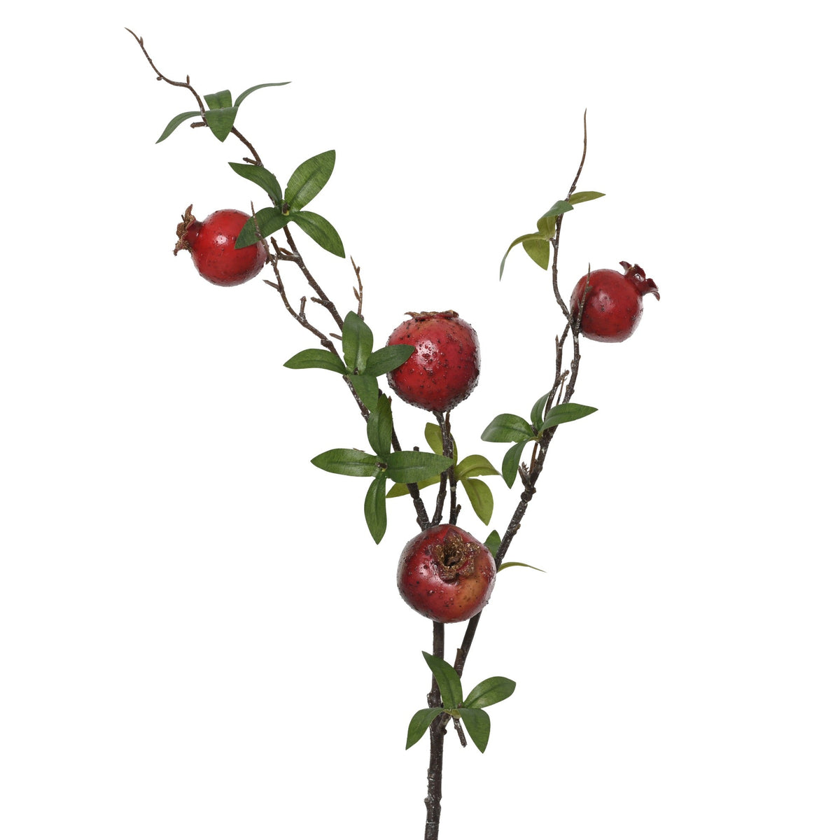 Red pomegranate spray with leaves
