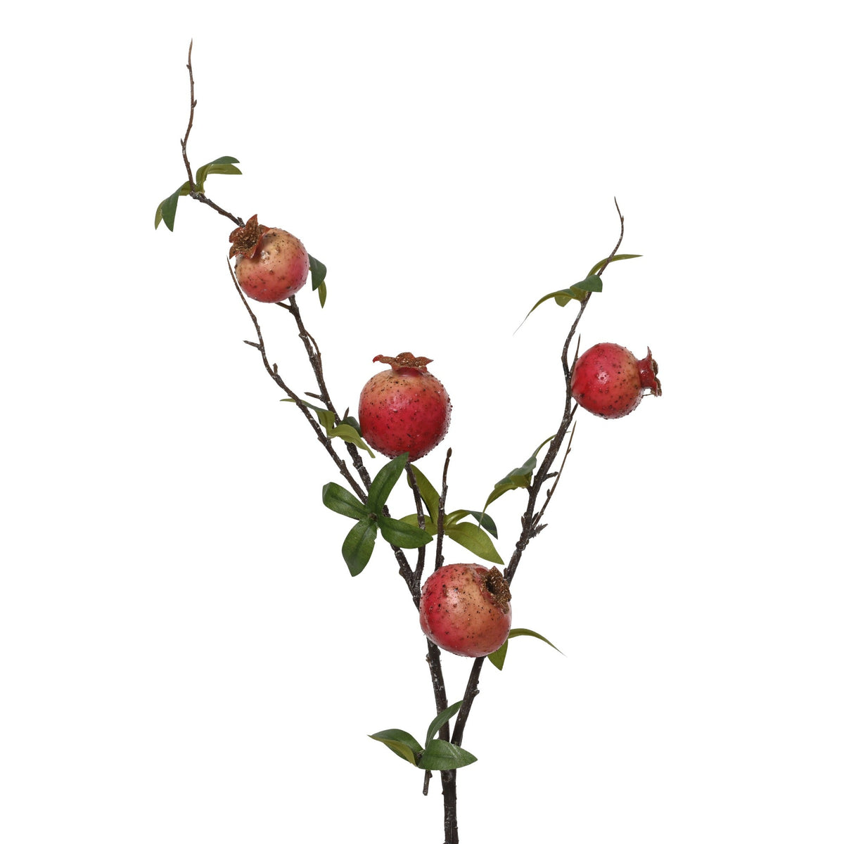 Pink pomegranate spray with leaves