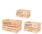 Special delivery box (3 sizes)
