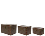Checked trunks with bronze accessories