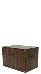 Checked trunks with bronze accessories