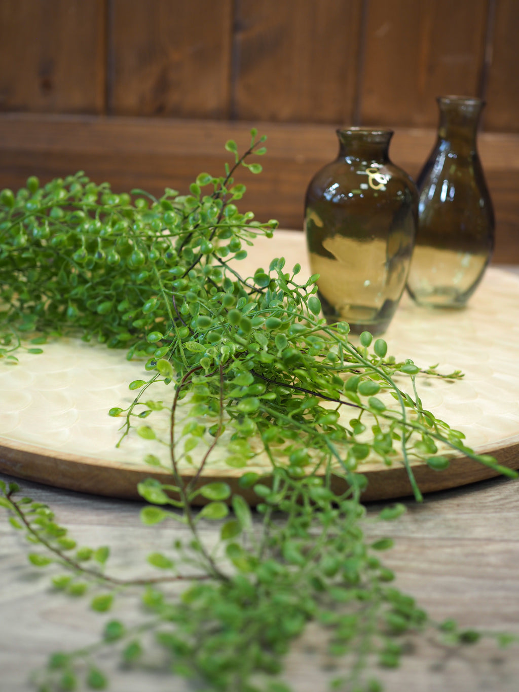 Green Trailing Planktothrix Pick