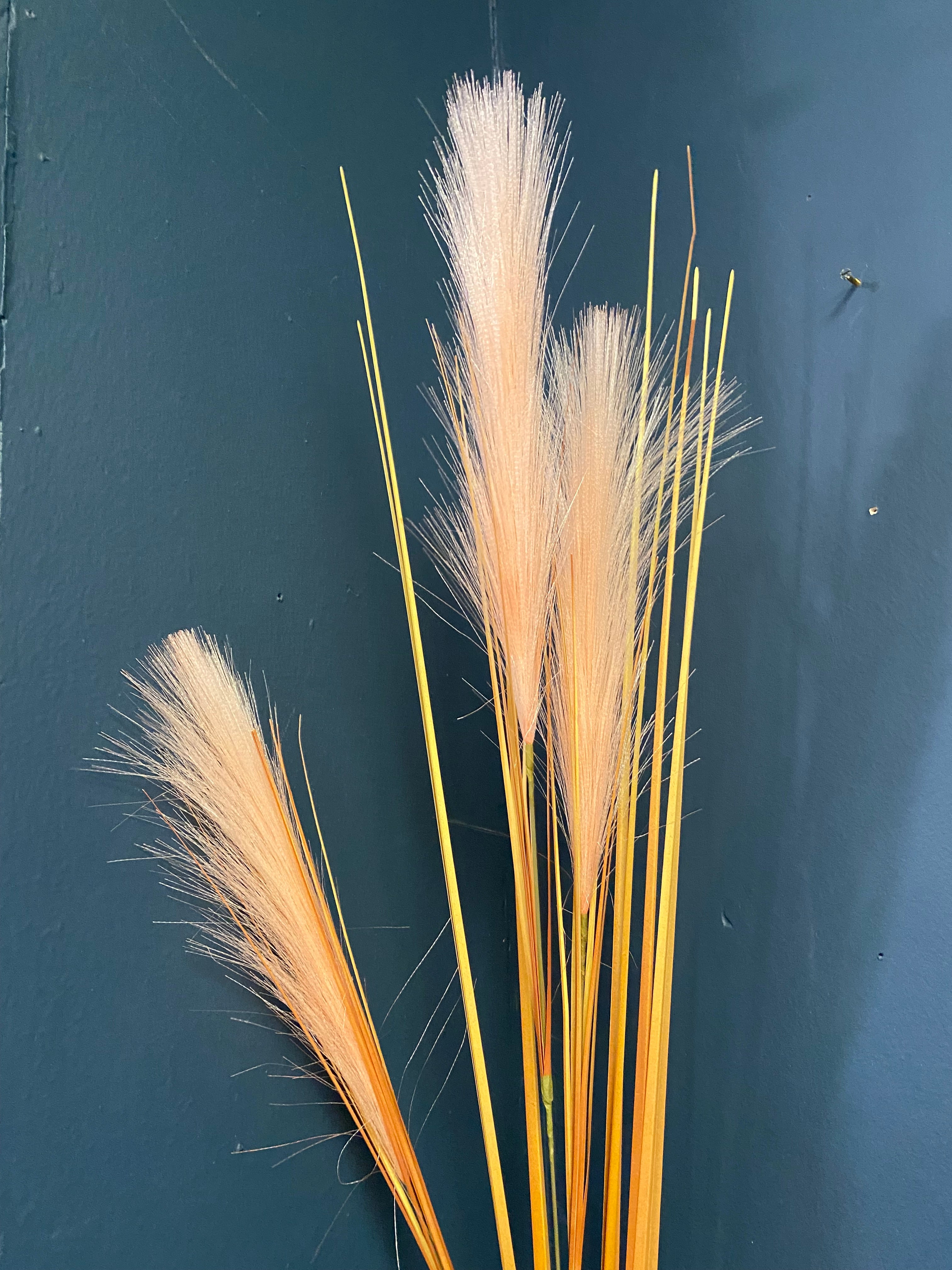 Triple plume pink pampas grass