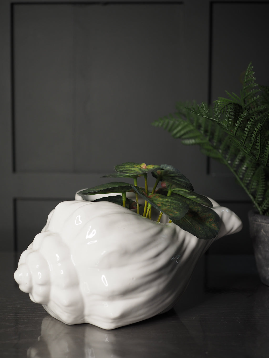 White Sea shell shaped planter