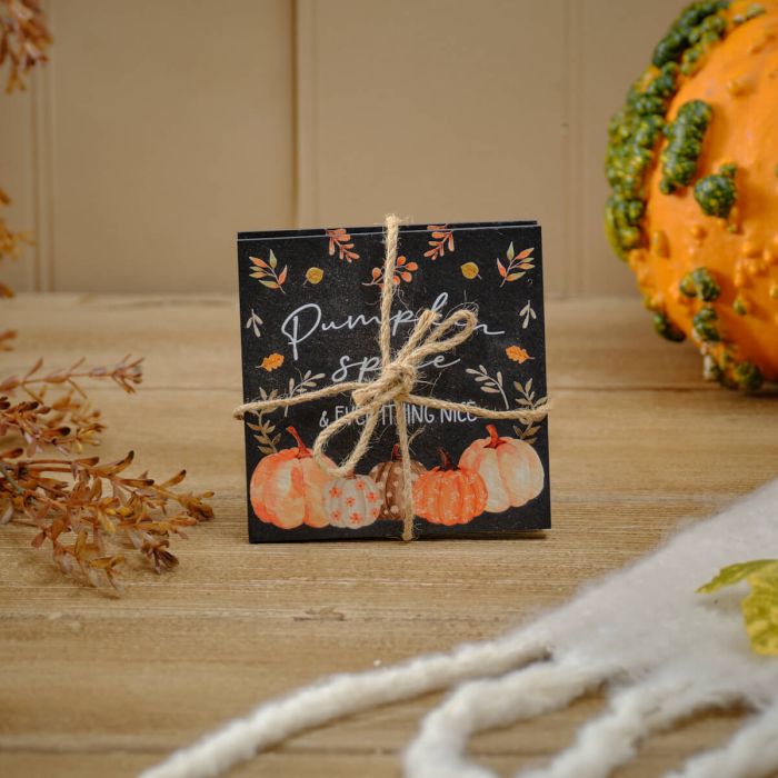 Harvest pumpkin set of 2 slate coasters tied with string