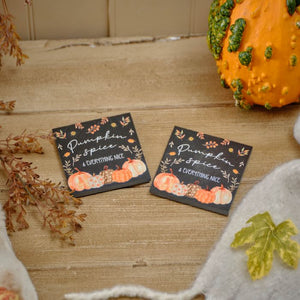 Harvest pumpkin set of 2 slate coasters tied with string
