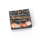 Harvest pumpkin set of 2 slate coasters tied with string
