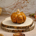 Mottled effect pumpkin -large