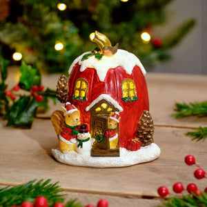 Festive robin light up Christmas house