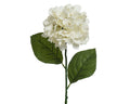 Off-white hydrangea stem