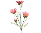 Pink cosmos spray