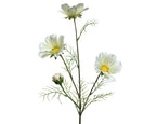 White cosmos spray