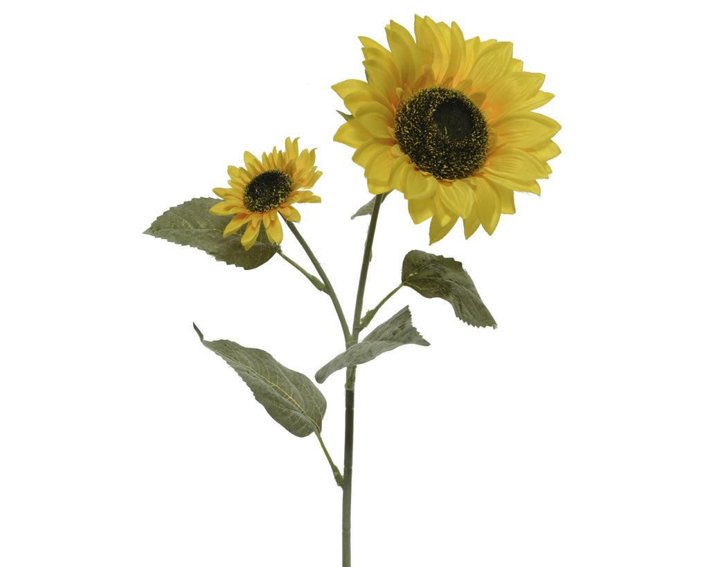 Sunflower on stem