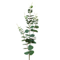Eucalypthus on stem polyester