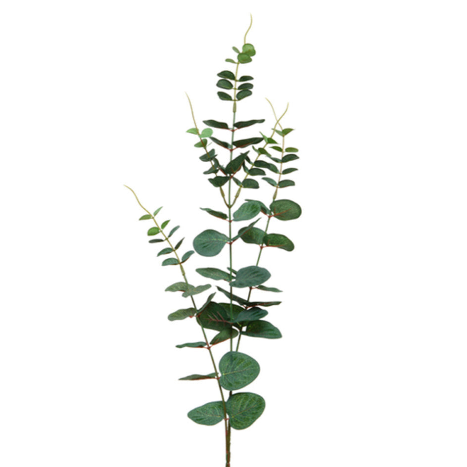 Eucalypthus on stem polyester