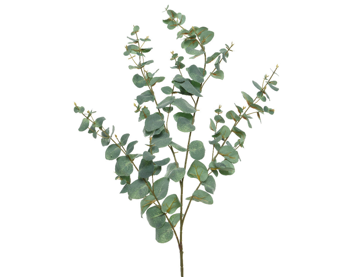 Tall eucalypthus stem (118cmH)