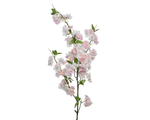 Pink cherry blossom stem