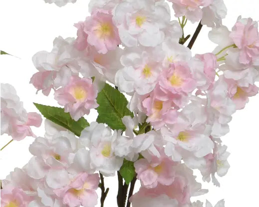 Pink cherry blossom stem