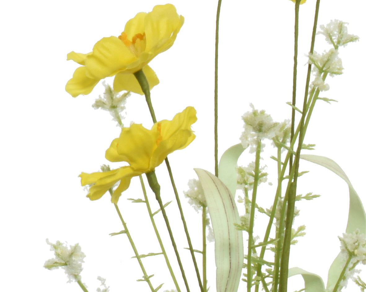 Narciscus on stem