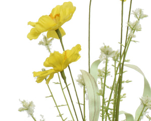 Narciscus on stem