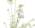 Narciscus on stem