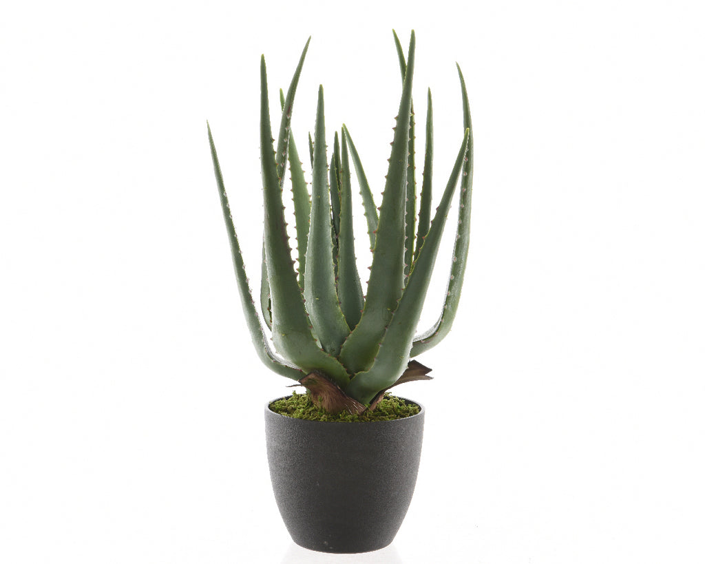 Potted faux aloe vera