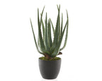 Potted faux aloe vera