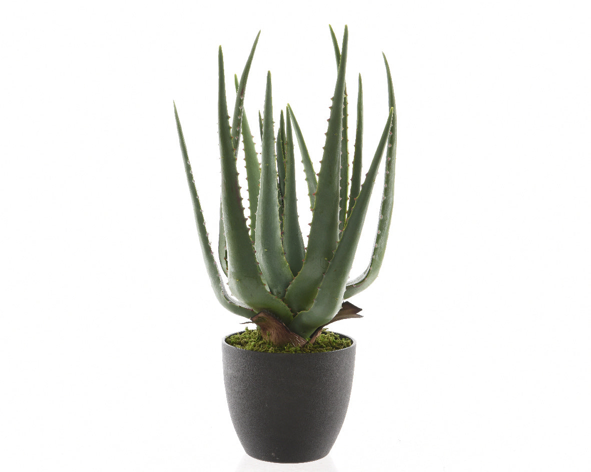 Potted faux aloe vera
