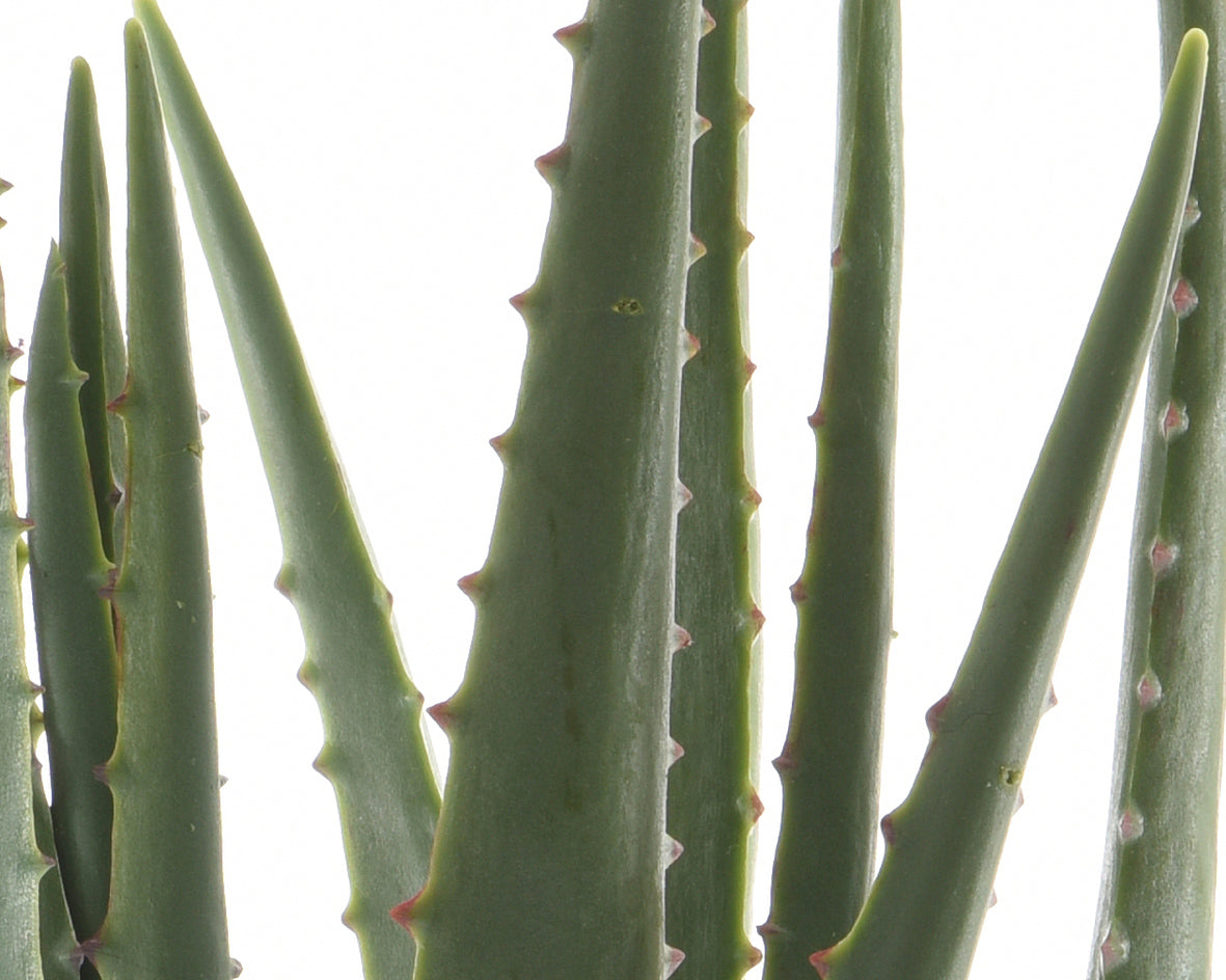 Potted faux aloe vera