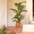 Palm tree in pot