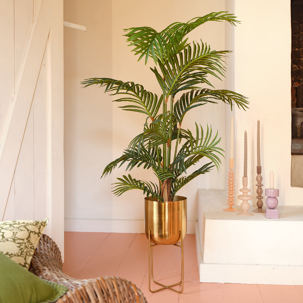 Palm tree in pot