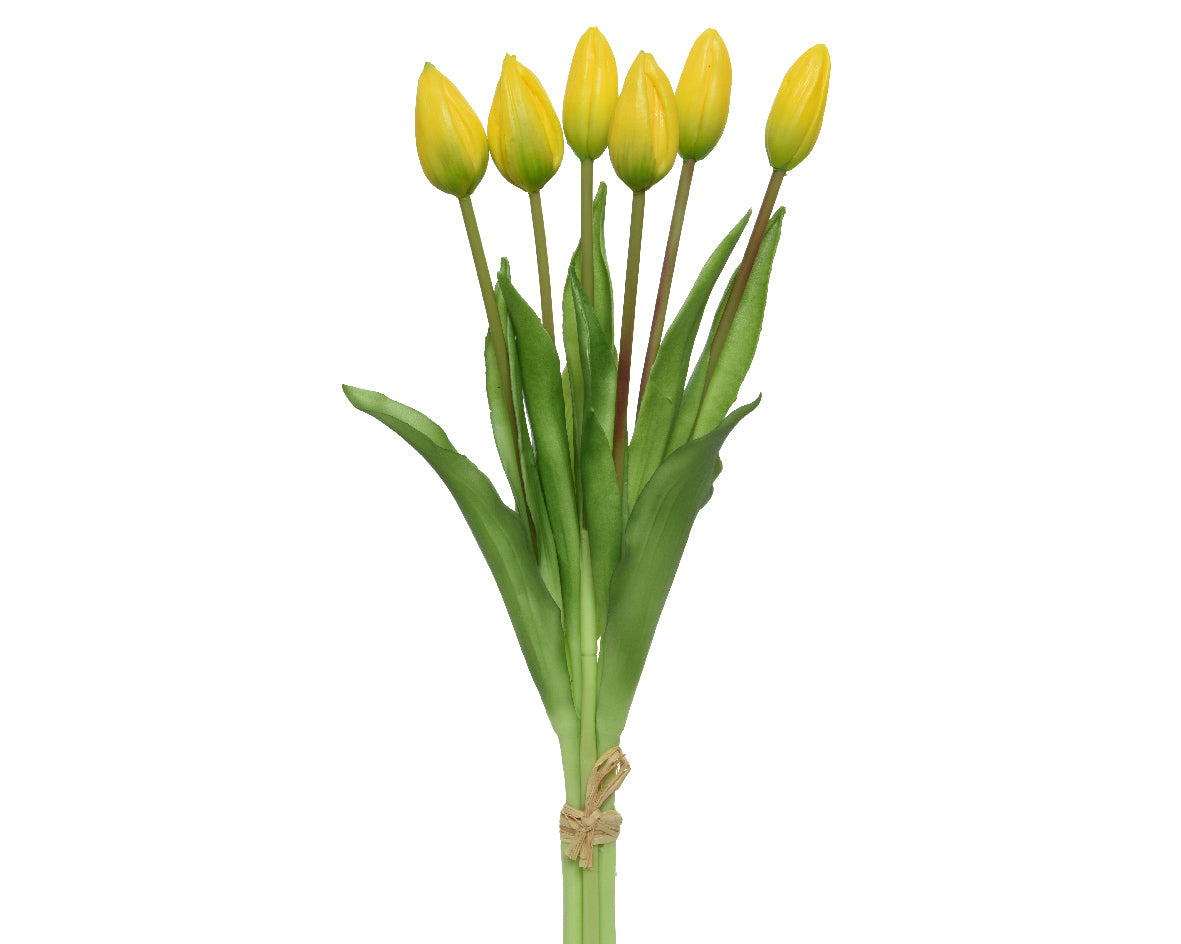 Sunshine yellow tulip bundle