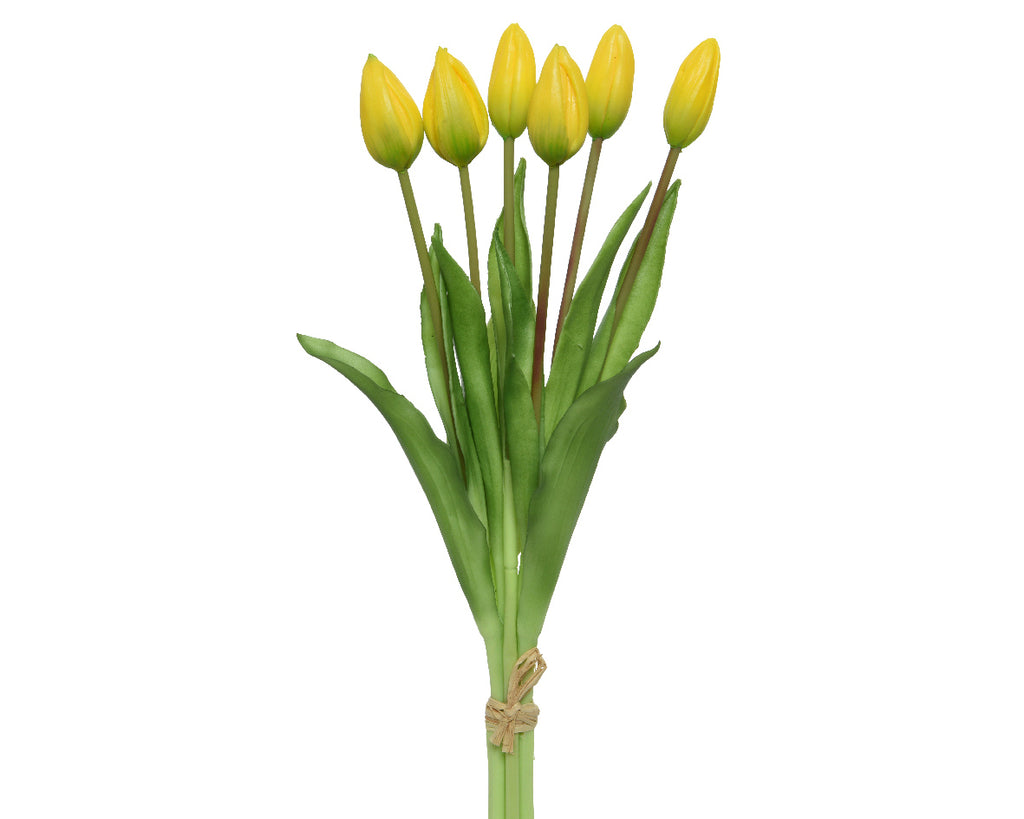 Sunshine yellow tulip bundle